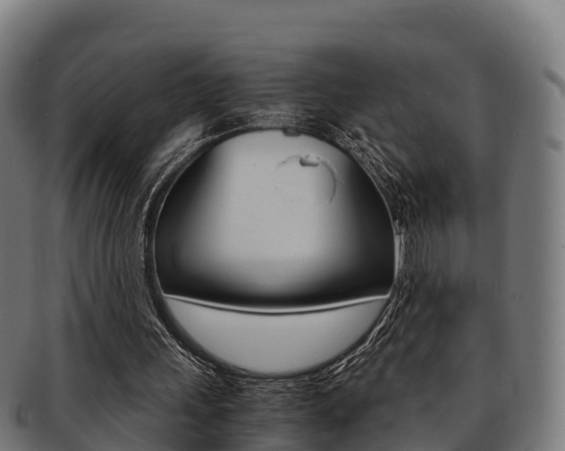 X0000091960243200709061106