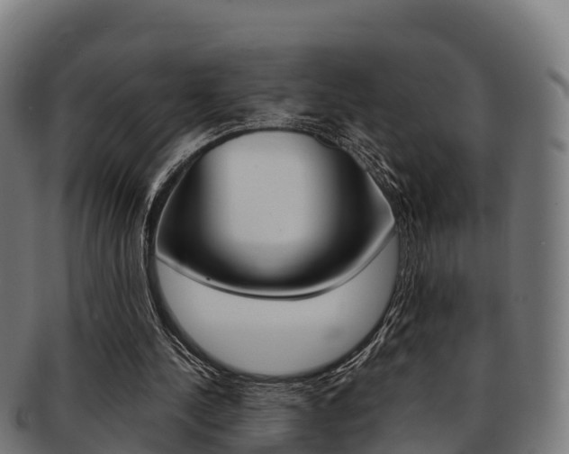 X0000091960244200709061106