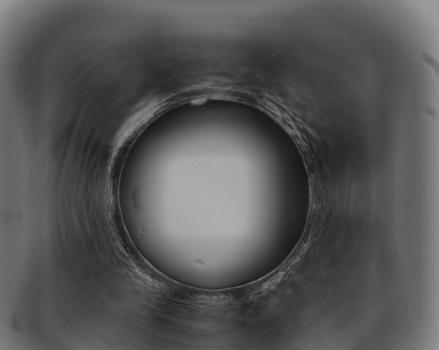 X0000091960245200709061106