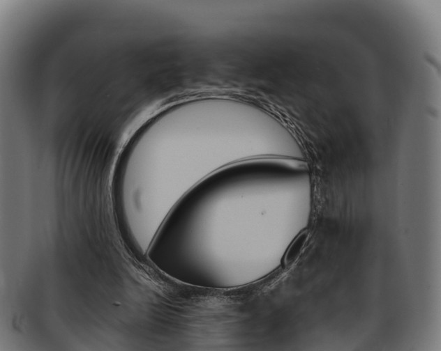 X0000091960246200709061106