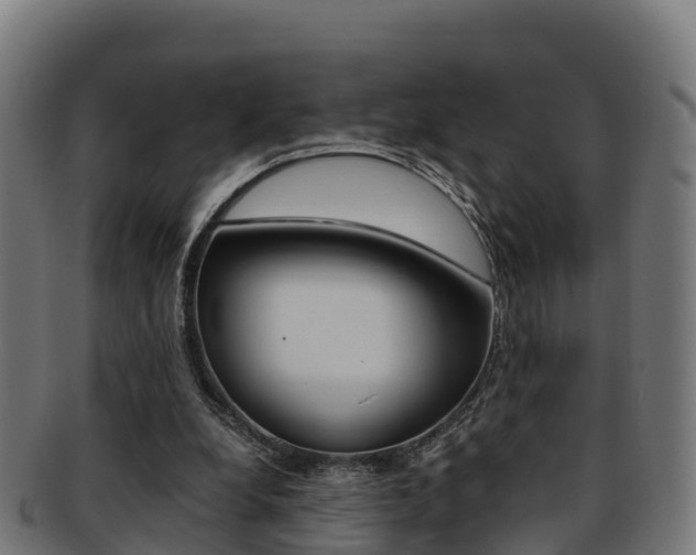 X0000091960248200709061106