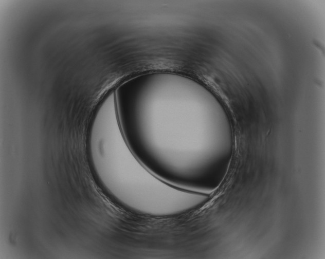 X0000091960249200709061106