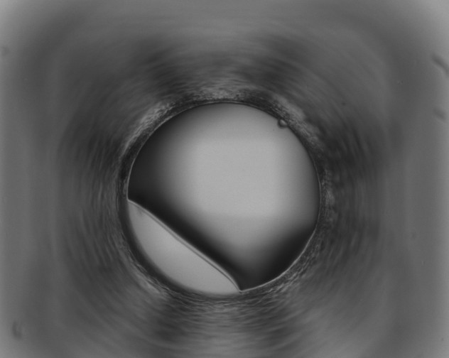 X0000091960250200709061106
