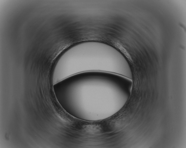 X0000091960251200709061106