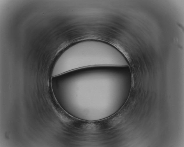 X0000091960253200709061106