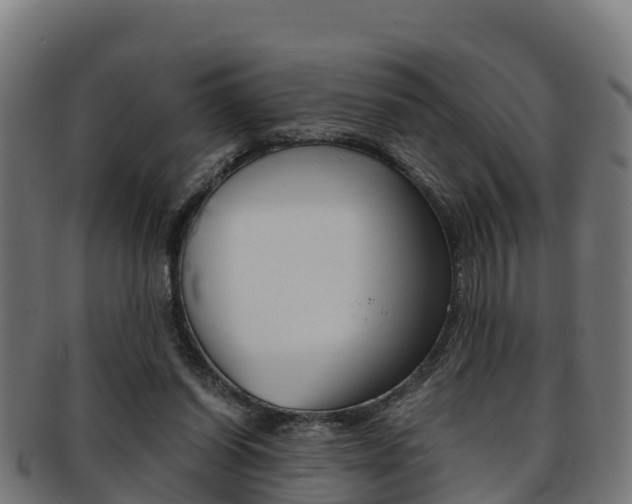 X0000091960254200709061106