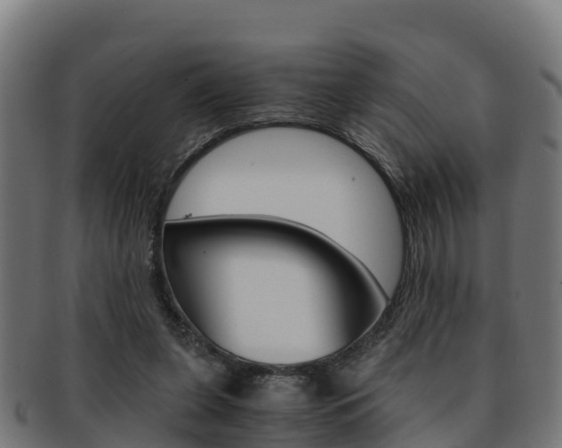 X0000091960255200709061106