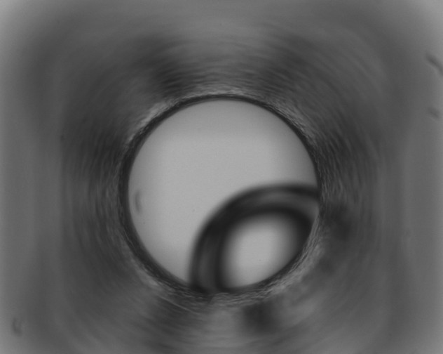 X0000091960256200709061106