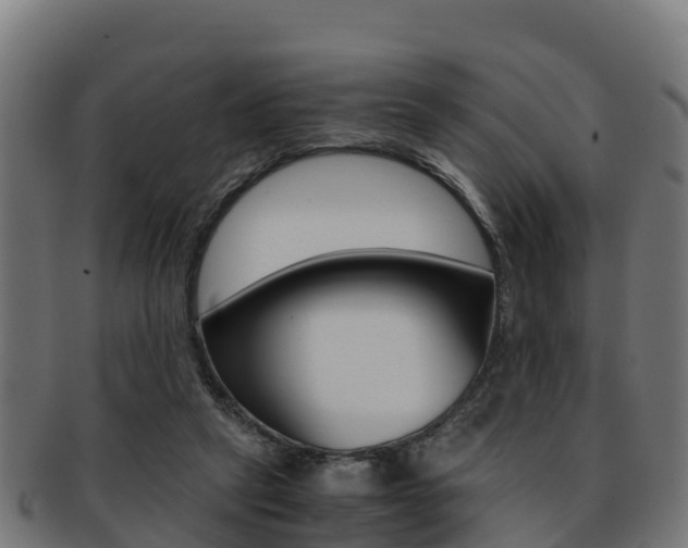 X0000091960257200709061106