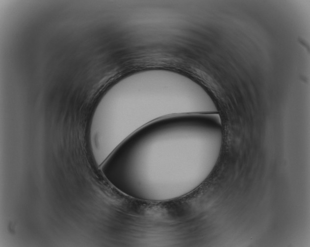 X0000091960258200709061106