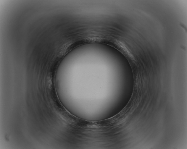 X0000091960259200709061106