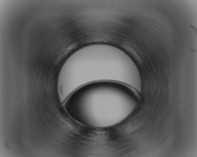 X0000091960260200709061106