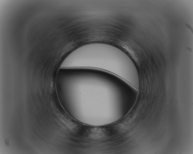 X0000091960261200709061106