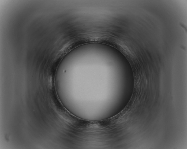 X0000091960262200709061106