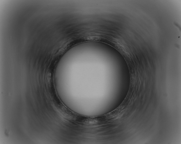 X0000091960263200709061106