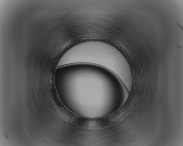 X0000091960264200709061106