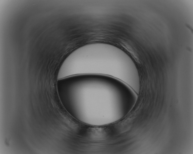 X0000091960265200709061106