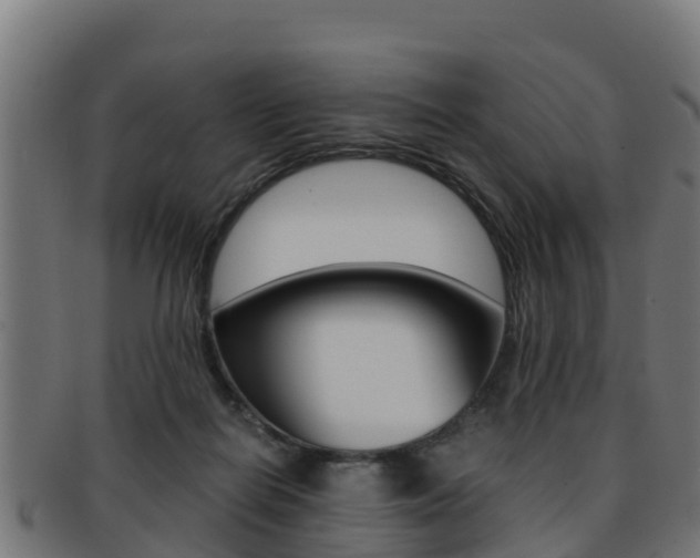 X0000091960266200709061106