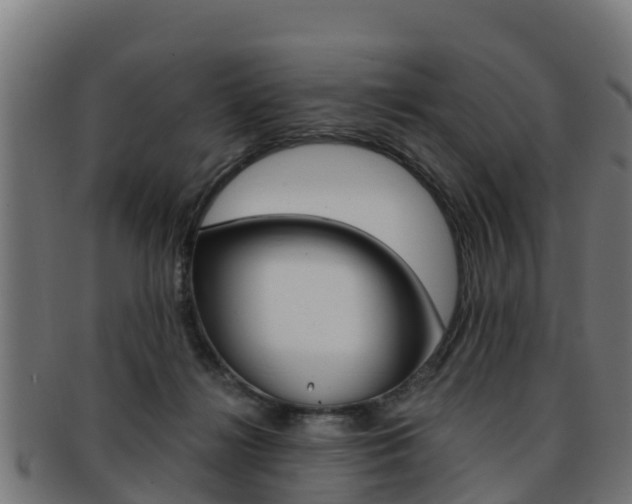X0000091960268200709061106