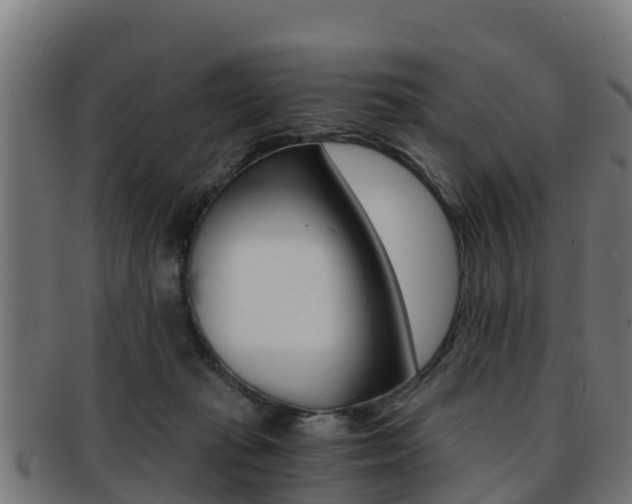 X0000091960269200709061106