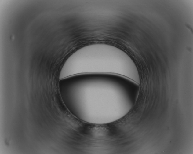 X0000091960270200709061106