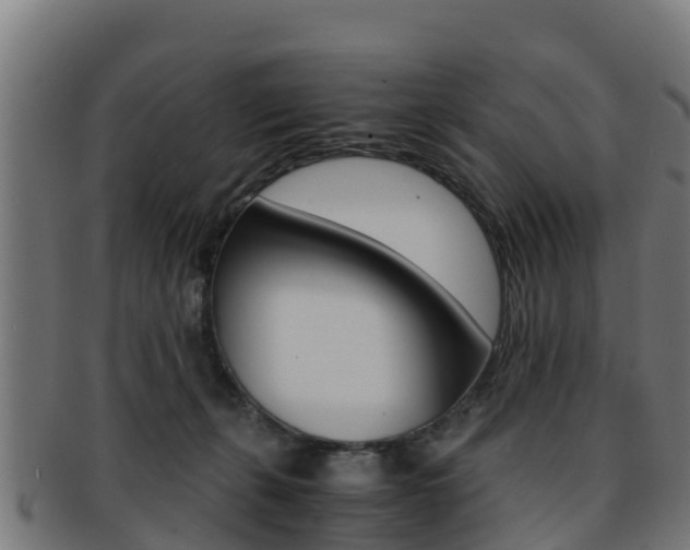 X0000091960271200709061106