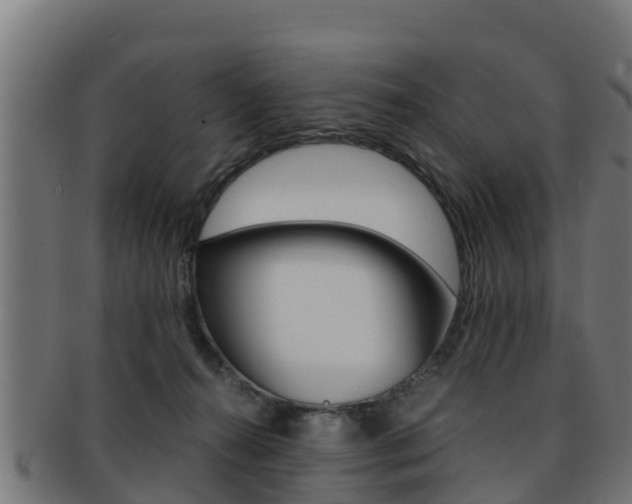 X0000091960272200709061106