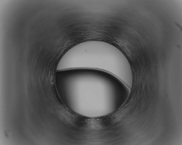 X0000091960273200709061106