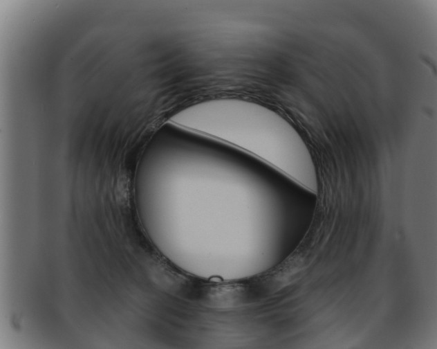 X0000091960274200709061106
