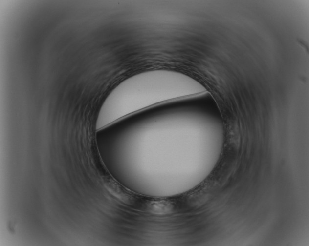 X0000091960275200709061106