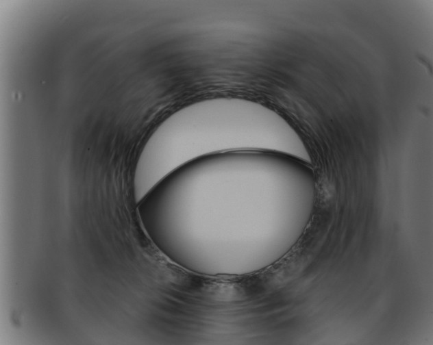 X0000091960276200709061106