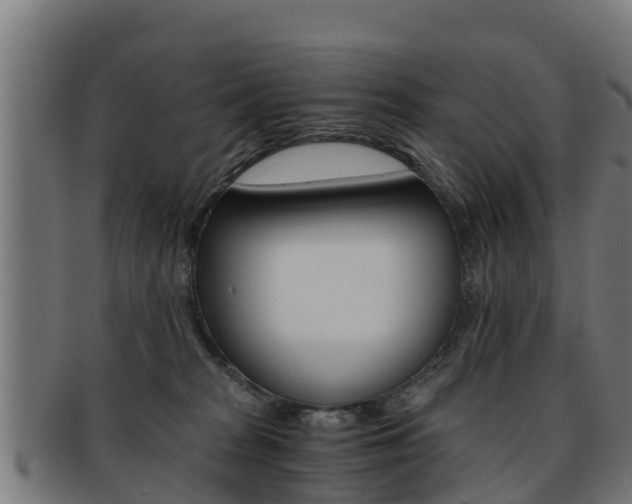 X0000091960277200709061106