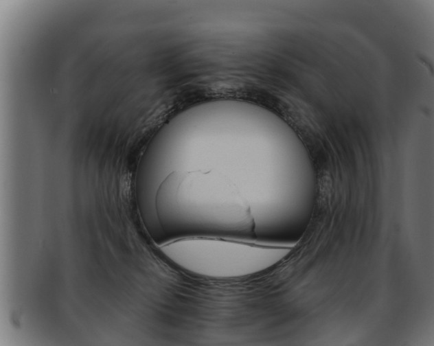 X0000091960278200709061106