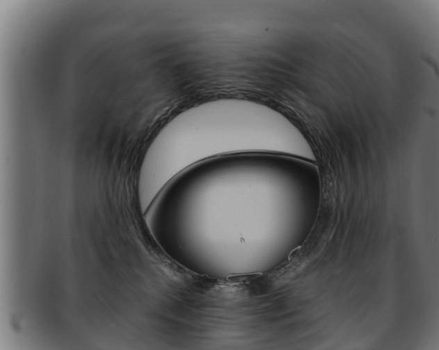 X0000091960280200709061106