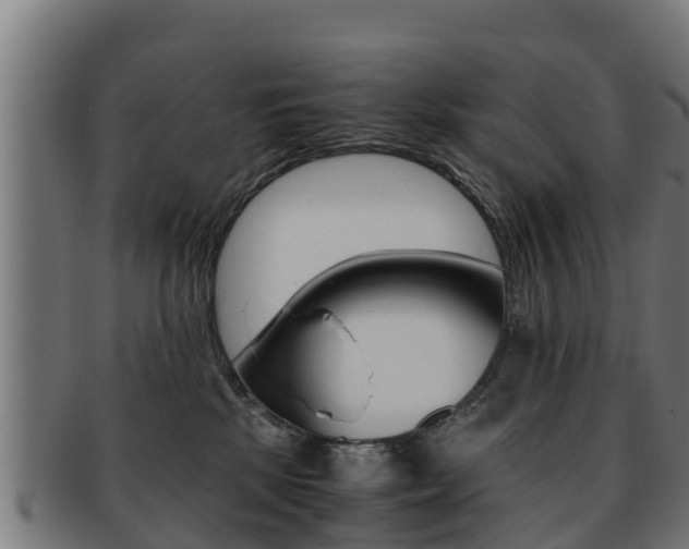 X0000091960281200709061106