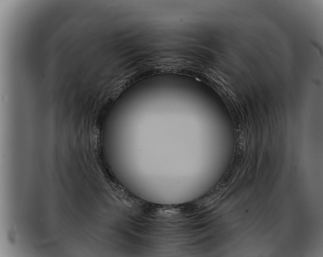 X0000091960283200709061106
