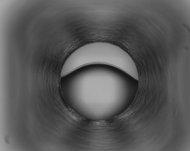 X0000091960286200709061106