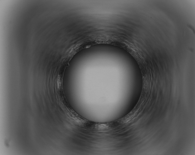 X0000091960287200709061106