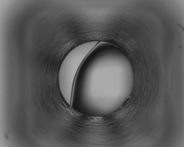 X0000091960288200709061106