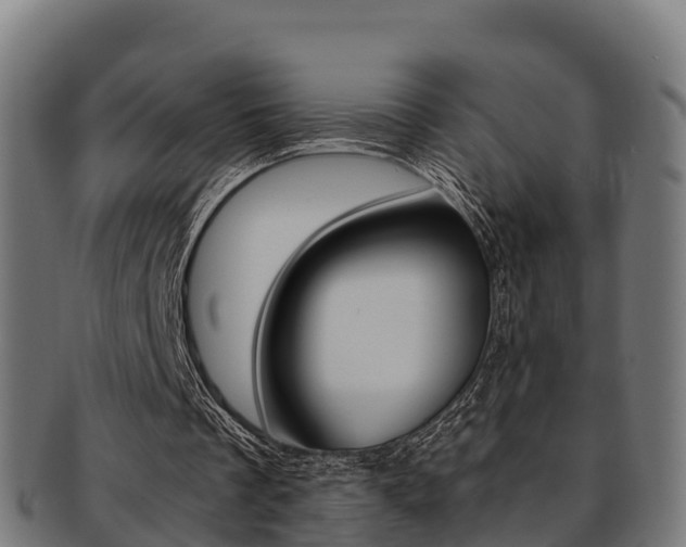 X0000091960289200709061106