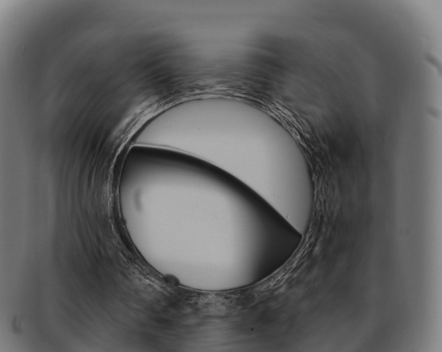 X0000091960290200709061106
