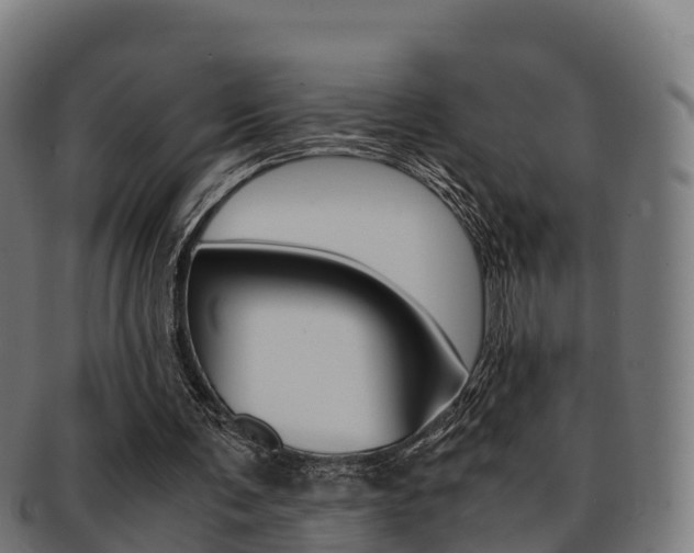X0000091960291200709061106