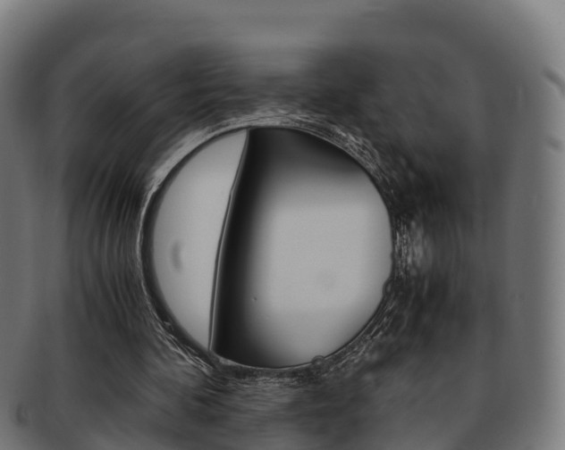 X0000091960292200709061106