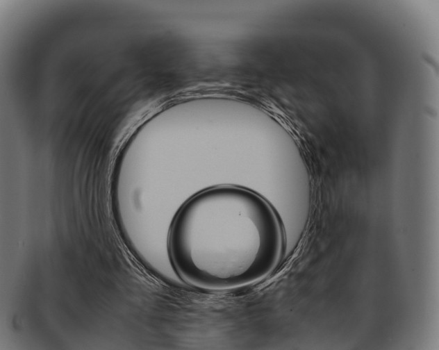 X0000091960293200709061106