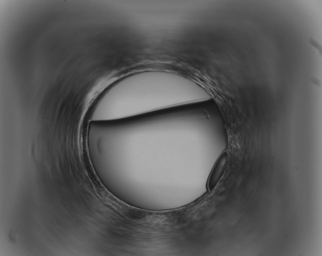 X0000091960294200709061106