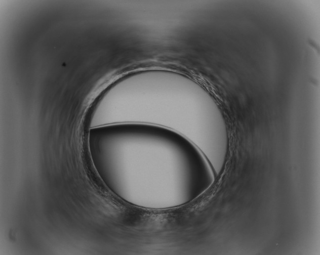 X0000091960295200709061106
