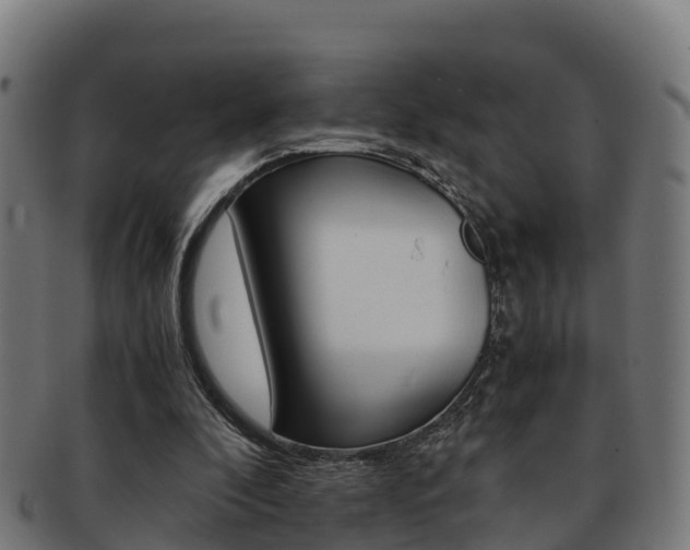 X0000091960296200709061106