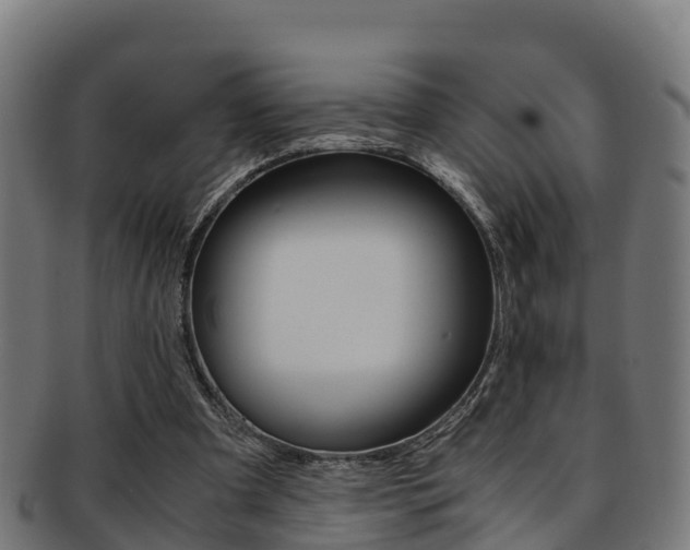 X0000091960297200709061106