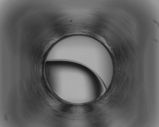 X0000091960299200709061106