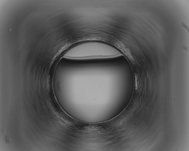 X0000091960300200709061106